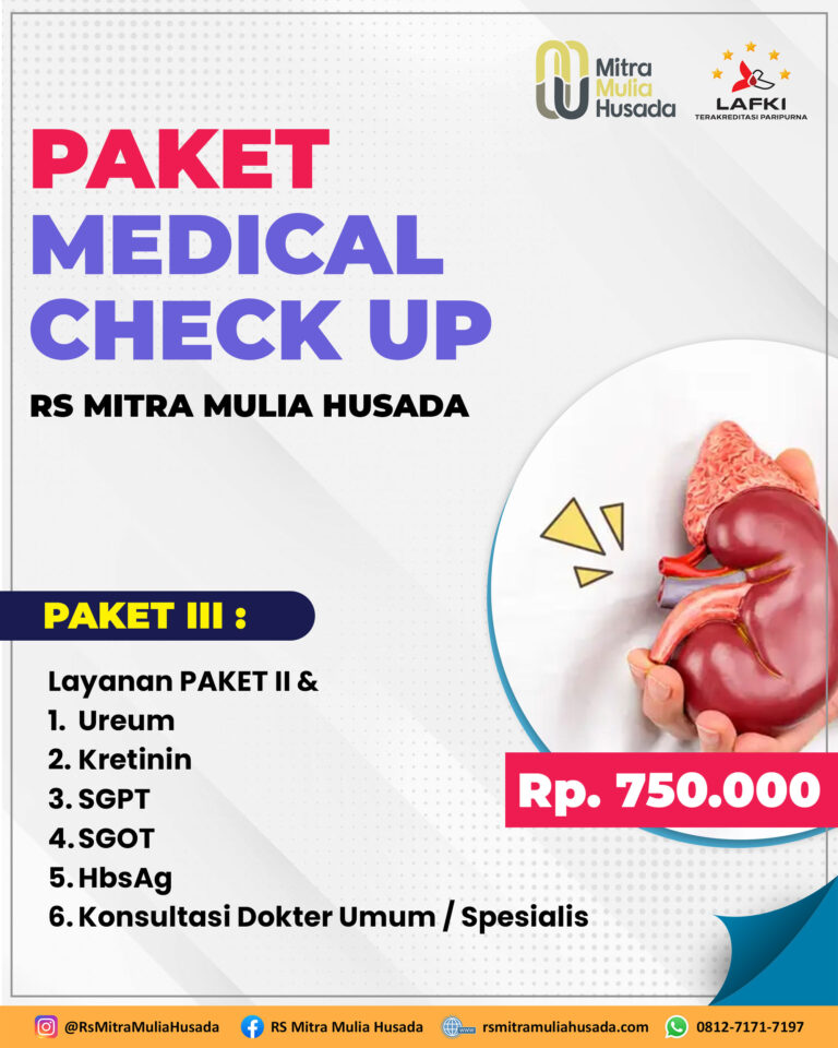 paket-3